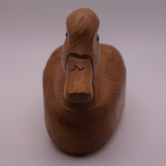 Wood Duck - Picture 2 of 16